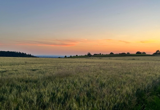 22-06-15 21-40-46 1117